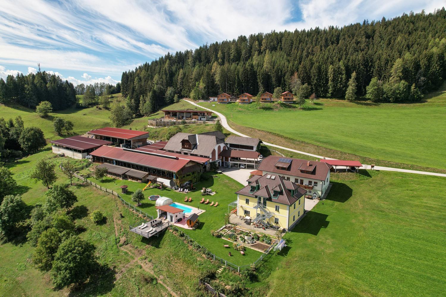 Erlebnisbauernhof Steinerhof In Kaernten Liebenfels ภายนอก รูปภาพ